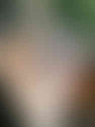 atelier mosaïque Joëlle talpin créations mosaiques orthez pau