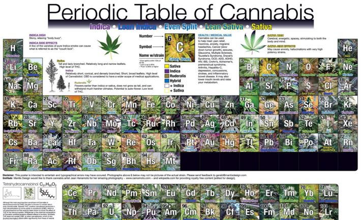 Periodic Table of Cannabis