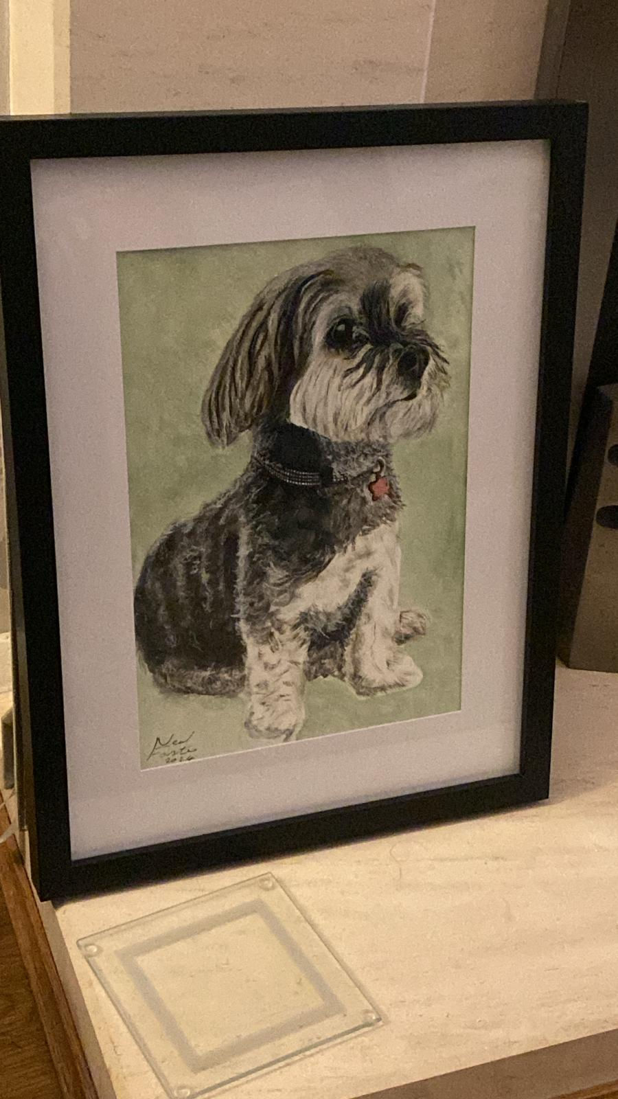 Thumbnail: Pet portrait 