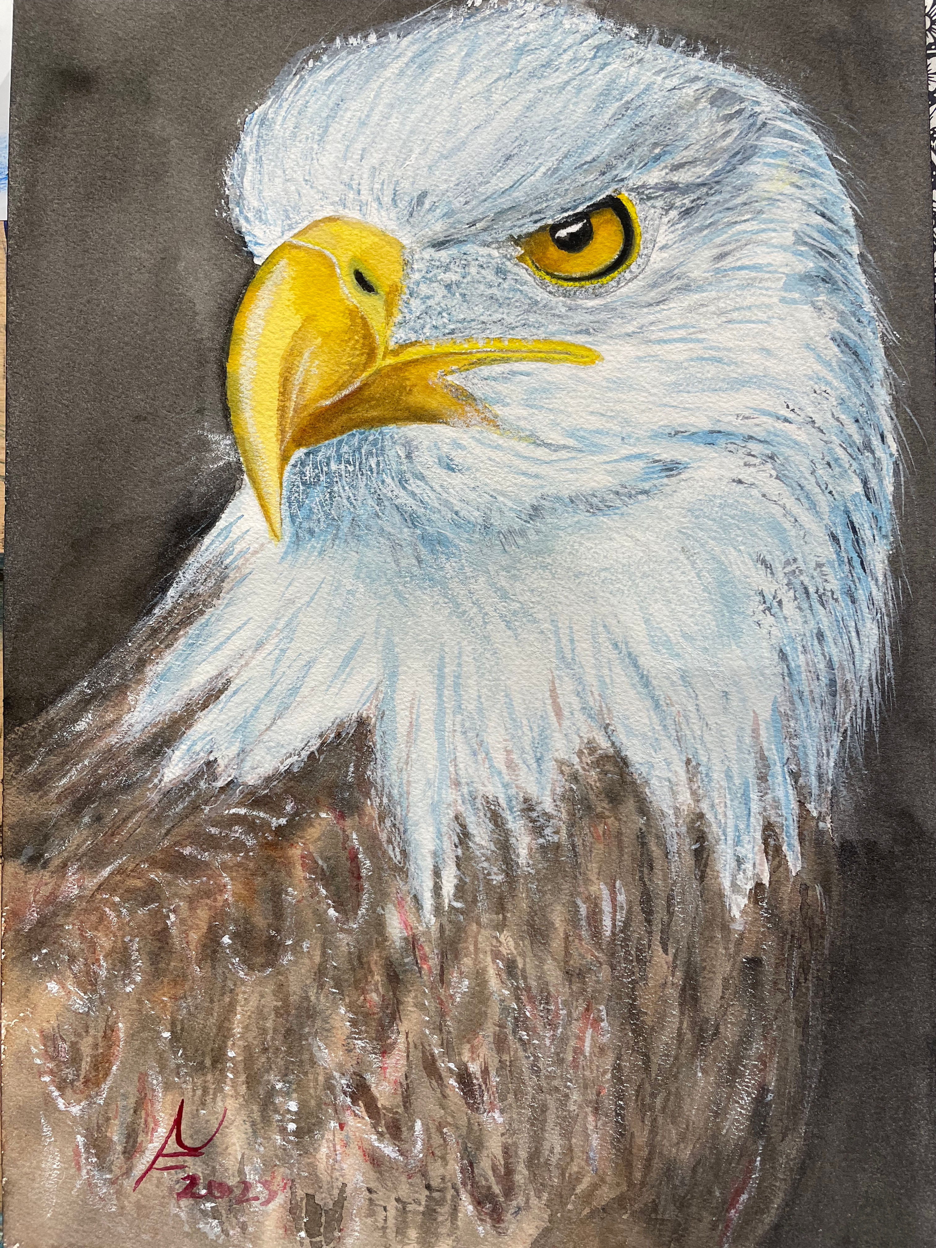 Eagle head watercolour