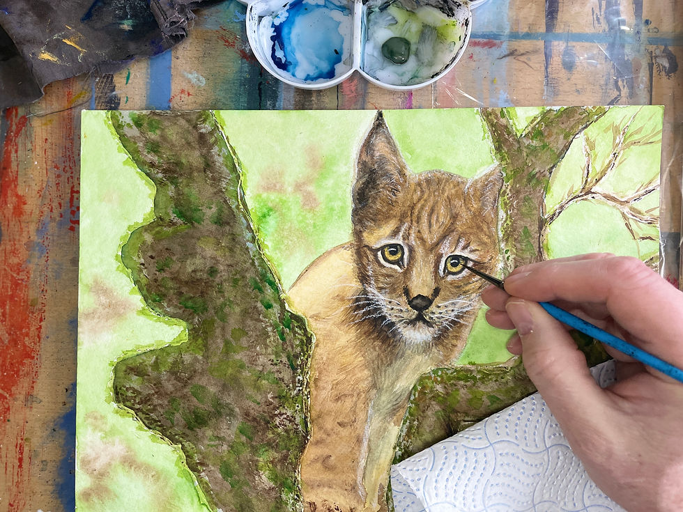 Thumbnail: Wild Lynx