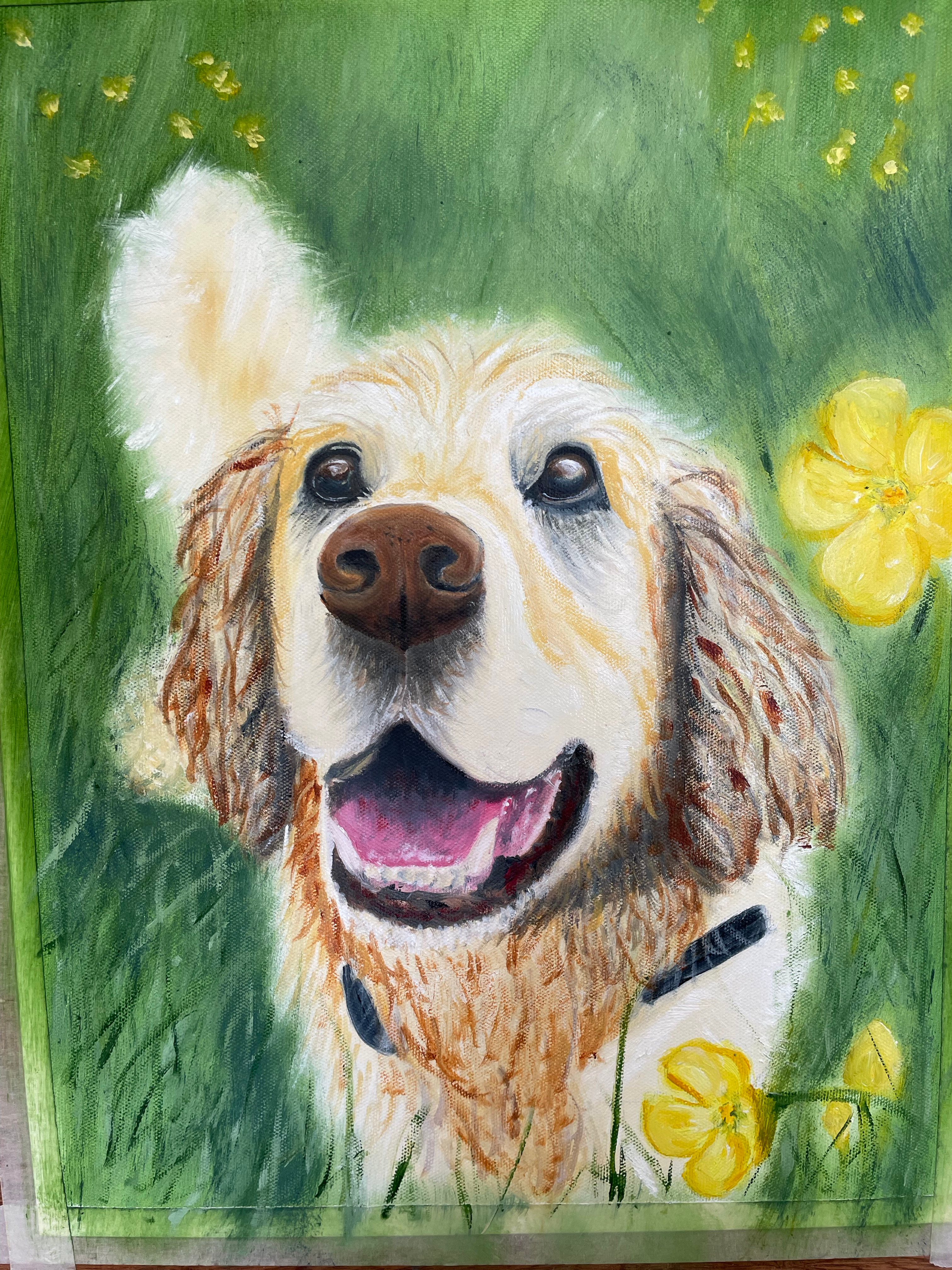 Labrador