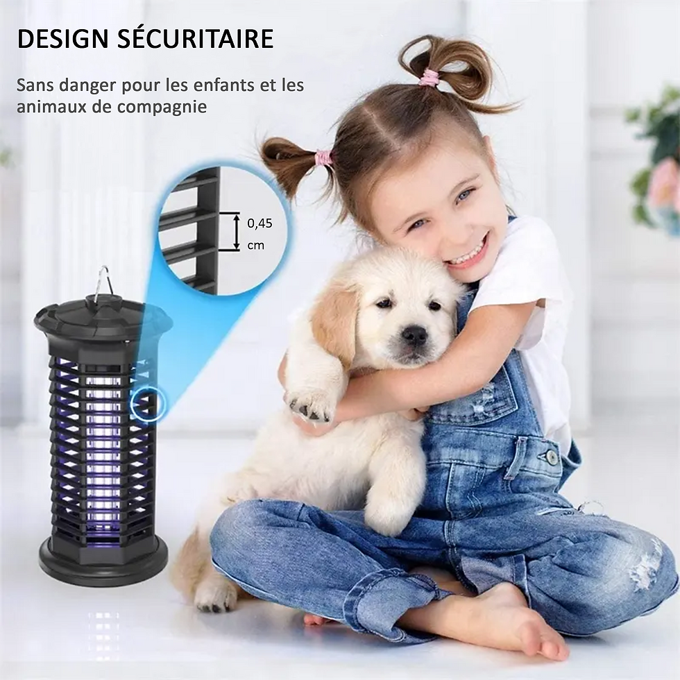 Miniature : Destructeur d'insectes ST - DI 800