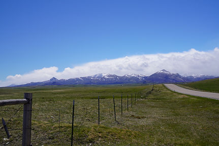 C77FE096-03BD-445E-B7F9-B1D9079CA060.jpeg