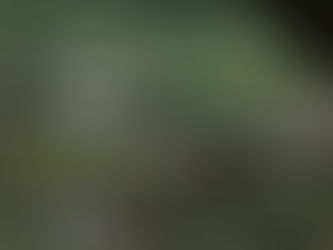 The Hidden Link Between Untreated Sleep Apnea and Premature Ejaculation in Men