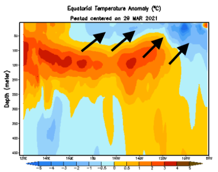 Could El Niño sneak up this season? ¿PodrÃa El Niño aparecer sigilosamente esta temporada?