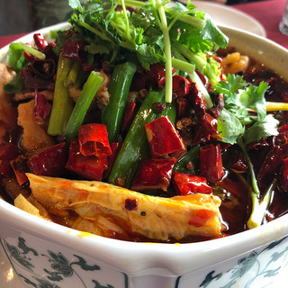 tofu