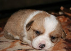 Edited Image 2014-5-25-2:26:19