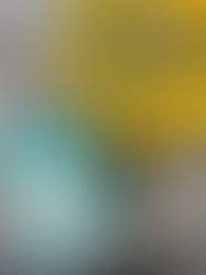 Book Review: What July Knew by Emily Koch