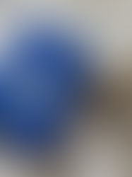 Book Review: Godmersham Park by Gill Hornby