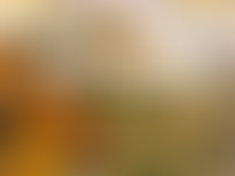 Roasted Lemon Skillet Chicken with Salsa Verde