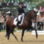 Don Alfredo de la Luz