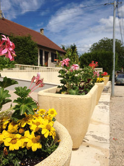 Fleurissement mairie