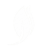 d0cf46d5-7392-4146-82b2-268478223ef8.png