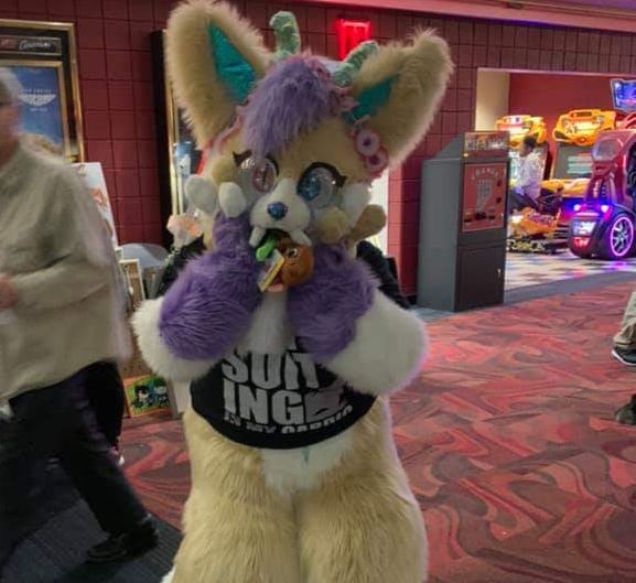 Convention Attendance: Twitch Con 2026