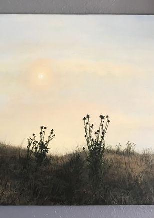 Misty Morning by Victor Sanchez