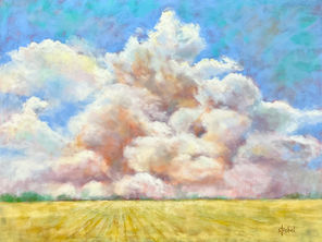 A landscape of farm fields, clouds and sky.