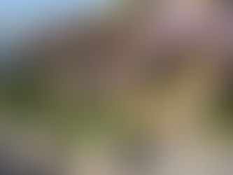 Reminder: Calls for CAA Member Art