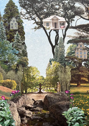 Houses hanging from trees like birdhouses