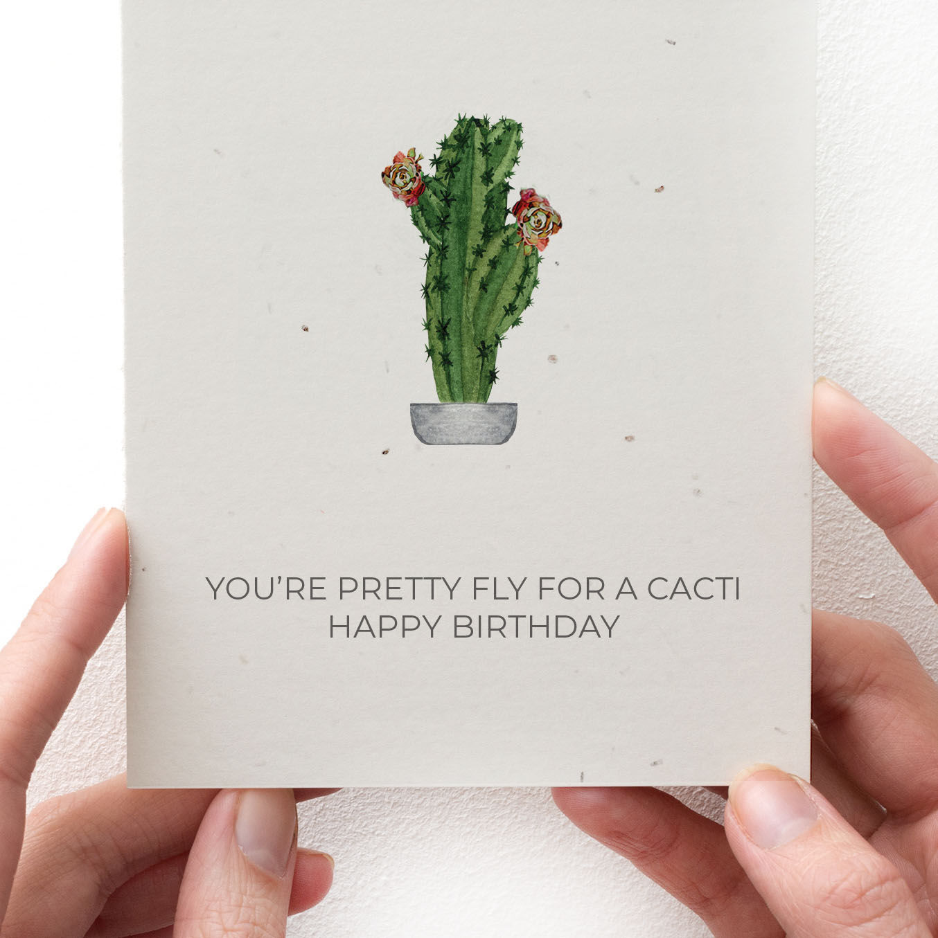 PLANTABLE BIRTHDAY CARD - FLY CACTI