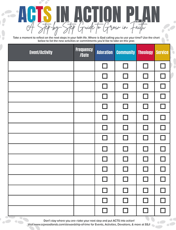 ACTS in Action Plan (2).png