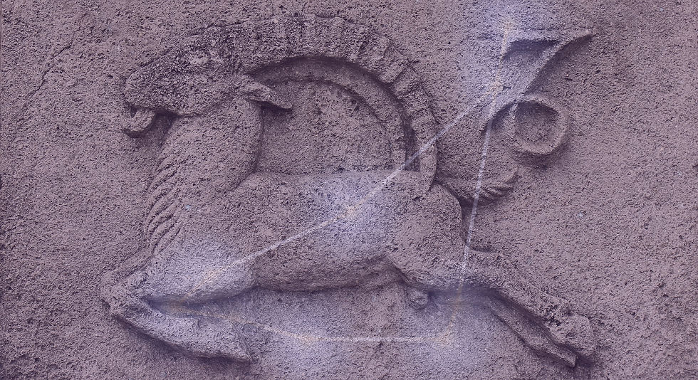 Zodiac - Capricorn or Sea-Goat, a stone relief on ancient wall