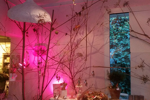 rohrer_advent2016_01.jpg