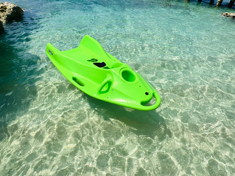 seaview board