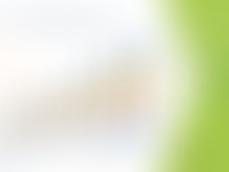 Asia-Pacific Chromatography Solvents Market Analysis by Industry Perspective, Comprehensive Analysis