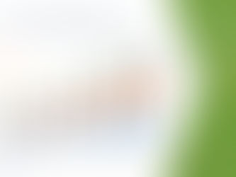 North America Plant-Based Egg Replacers Market Analysis, Technologies, & Forecasts