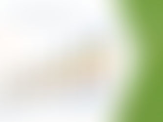 Global Vitamin B12 (Cobalamin) Market Analysis, Growth, Demand Future Forecast 2029