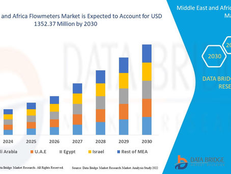 Middle East and Africa Flowmeters Market Worth USD 1352.37 million by the year 2030