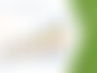 Global Avocado Oil Market Analysis, Growth, Demand Future Forecast 2028