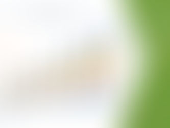 Global Feed Amino Acids Market to Reach A CAGR of 4.9% By The Year 2028