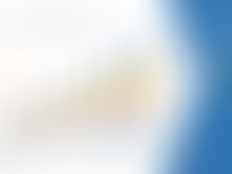 Global Physical Security Market is expected to grow by USD 202.05 billion during 2022-2029