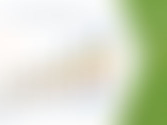 Middle East and Africa Plant-Based Egg Replacers Market Analysis, Technologies, & Forecasts