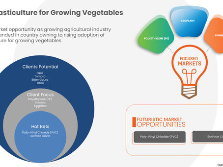 Spain Plasticulture for Growing Vegetables Market to Reach a Value of EUR 76.95 million