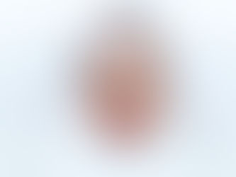 Newborn Session| Brown Family