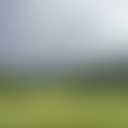 人生3回目のゴルフに行ってきました!