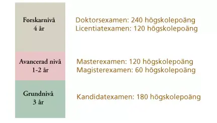 Högskolor och examen termer