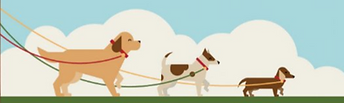 dog2.PNG