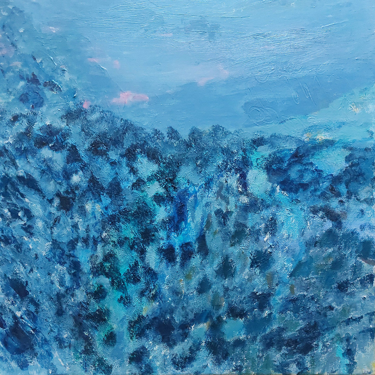 CHARLES NICOLAS Michèle  -  Et au faîte du monde