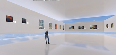 Galerie  virtuelle  -  Exposition   Internationale