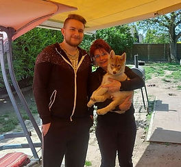 Siberian Husky Welpe