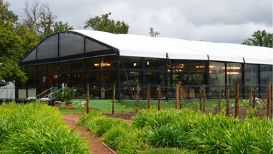 Firehorse keeps the flame alive at Vergelegen