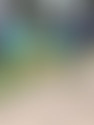 How to introduce a rescue to your family