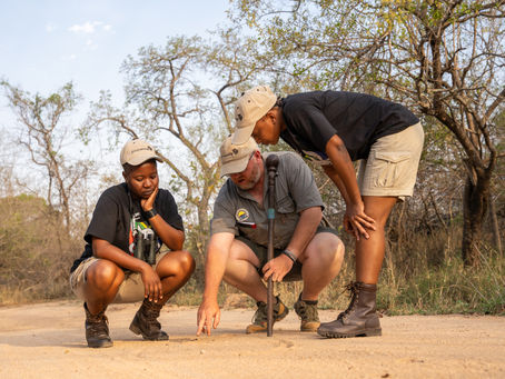 Ecotraining and Black Mambas continue to inspire and redefine anti-poaching