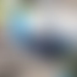 Inside Noordhoek’s Exclusive Wellness Experience