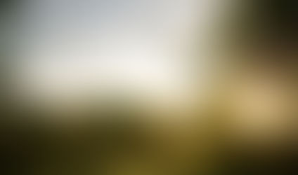 Raise a glass to leopard conservation | #wineforgood