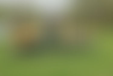 Anna Foundation brings Wines2Whales excitement to young riders at Oak Valley with Mini Cycling Day